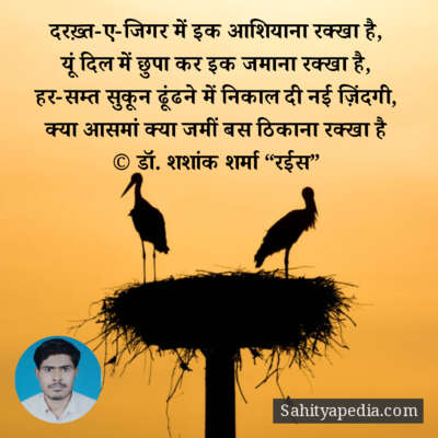 दरख़्त-ए-जिगर में इक आशियाना रक्खा है,