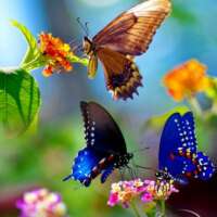 करतलमें अनुबंध है,भटक गए संबंध।