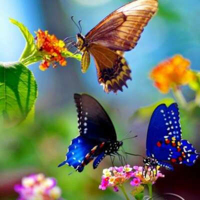 करतलमें अनुबंध है,भटक गए संबंध।