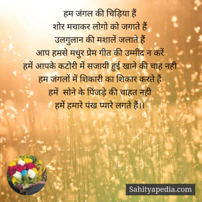 हम जंगल की चिड़िया हैं