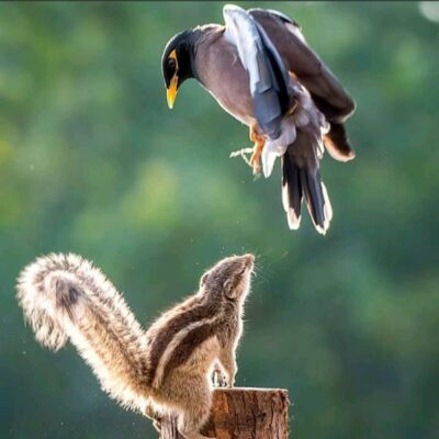 ऐसा क्यों होता है