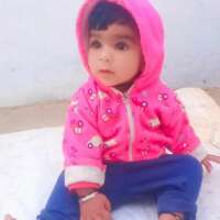 सीख गुलाब के फूल की