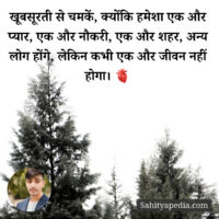 खूबसूरती से चमकें, क्योंकि हमेशा एक और प्यार, एक और नौकरी, ए