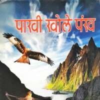 पाखी खोले पंख : व्यापक फलक की प्रस्तुति