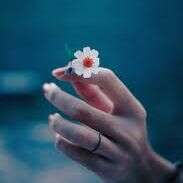 लाख सितारे ......