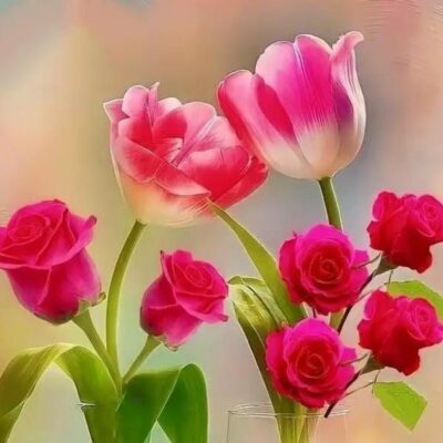 दर्द और जिंदगी