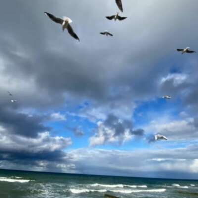 जब वो कृष्णा मेरे मन की आवाज़ बन जाता है।