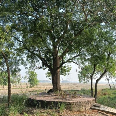 यादों के चिट्ठे