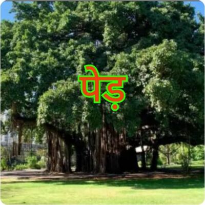 बाल कविता