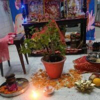 *शुभ विवाह मंगलमय गाओ, तुलसी-शालिग्राम (तुलसी विवाह/गीत)*