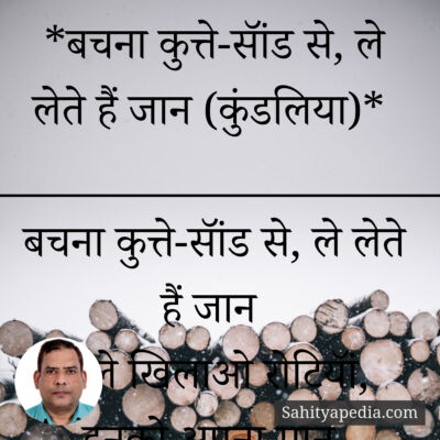 *बचना कुत्ते-सॉंड से, ले लेते हैं जान (कुंडलिया)*