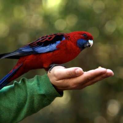 🔉🎶क्या आप भी हमें गुनगुनाते हो?🎶🔉