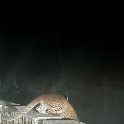 न्याय अन्याय