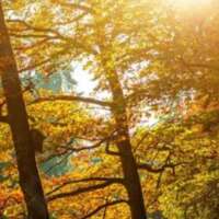 ✍️प्रेम खेळ नाही बाहुल्यांचा✍️