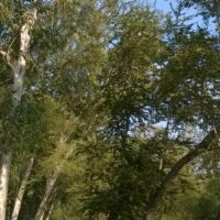 थी ग़ज़ब उनकी बग़ावत