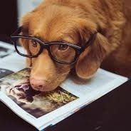 ‘हम पढ़े-लिखे जो कुत्ते हैं, कुत्तों से बहस नहीं करते’