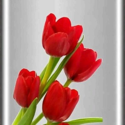 *मन के धागे बुने तो नहीं है*