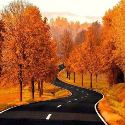 राह हमारे विद्यालय की