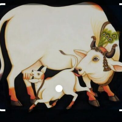 क्या मागे माँ तुझसे हम, बिन मांगे सब पाया है