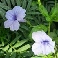 शाश्वत सत्य