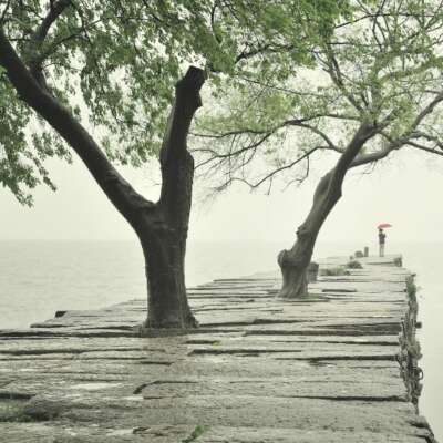 अपनेपन का मुखौटा