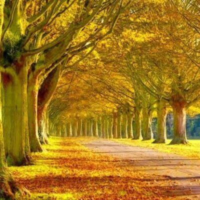 कुछ गम सुलगते है हमारे सीने में।