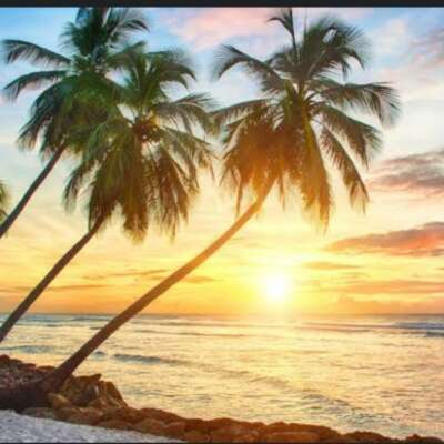 सब स्वीकार है