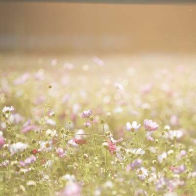 You are the sanctuary of my soul.