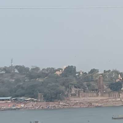 जंगल ही ना रहे तो फिर सोचो हम क्या हो जाएंगे