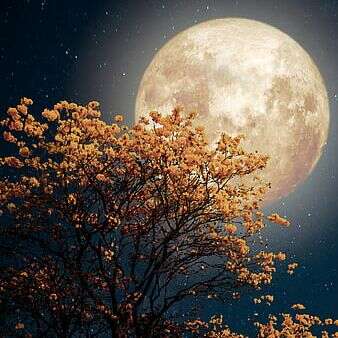 पूनम की रात हो,पिया मेरे साथ हो