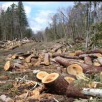 प्रकृति का विनाश