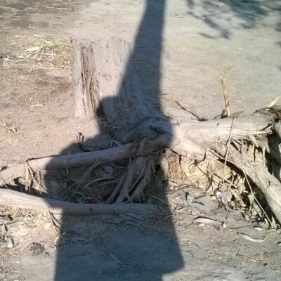 पहले भी सब कुछ झूठा था