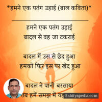 *हमने एक पतंग उड़ाई (बाल कविता)*