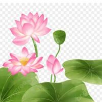 क्षमा देव तुम धीर वरुण हो......