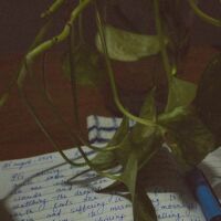 उस स्त्री के प्रेम में मत पड़ना