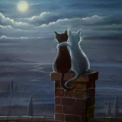 ਸਾਮ ਦੇ ਧੁੰਧਲਕੇ ਵਿਚ