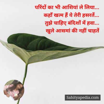 परिंदों का भी आशियां ले लिया...