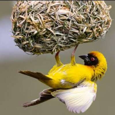 ✍️कुछ नही मिलता मुफ्त में..