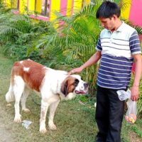 पर्यायवरण (दोहा छन्द)