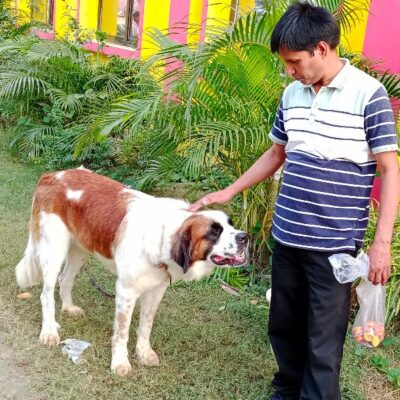 पर्यायवरण (दोहा छन्द)