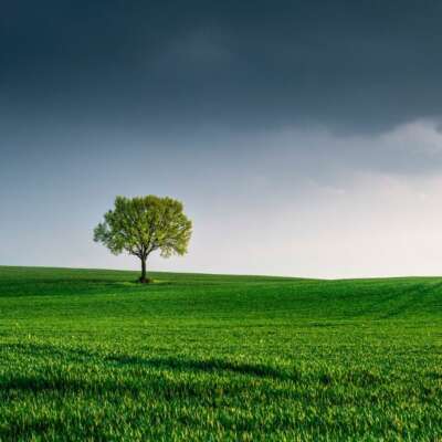 ध्वनि प्रदूषण कर दो अब कम