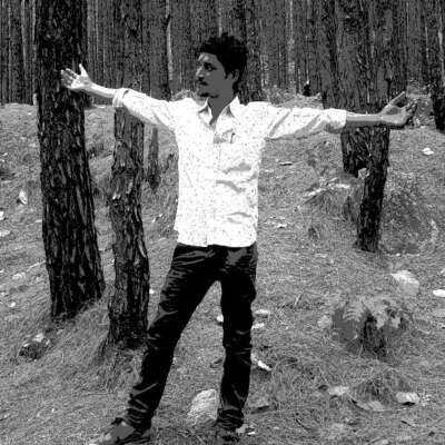 ** चीड़ के प्रसून **