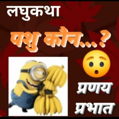 #लघुवृत्तांत