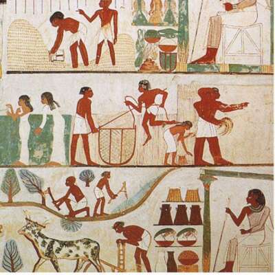 किसान की संवेदना