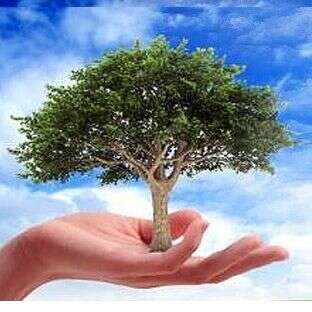 होली में पर्यावरण नहीं, बुराइयां जलाएं