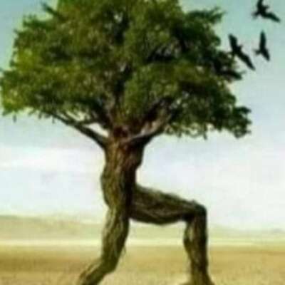 पेड़ और नदी की गश्त