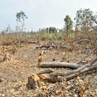 अहसान का दे रहा हूं सिला