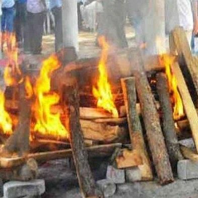 बूढ़ा बागवान