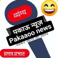 ■ व्यंग्य / एक न्यूज़ : जो उड़ा दी फ्यूज..