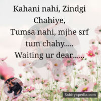 Kahani nahi, Zindgi Chahiye,